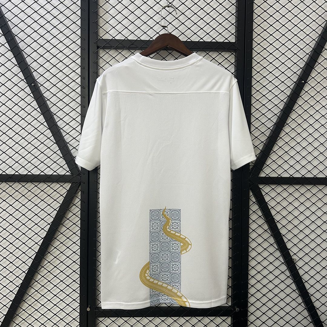 25-26 Tottenham Pre-match Shirt